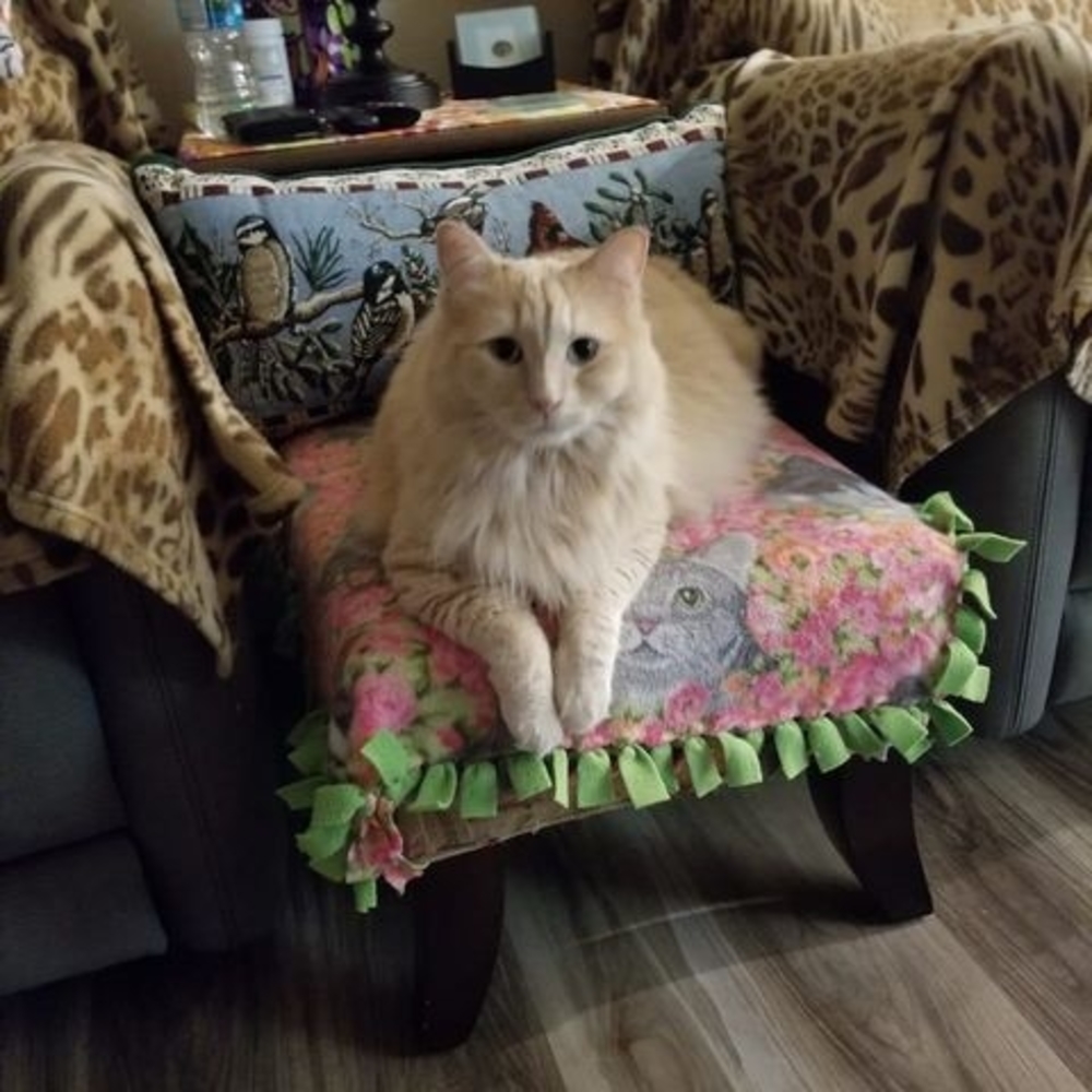 Meet your Posher, Penny